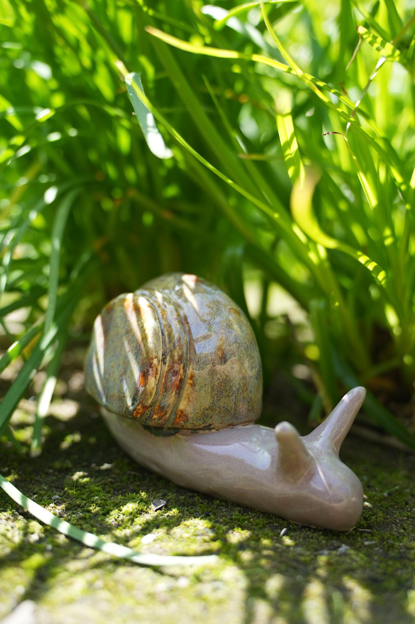 Giant Snail