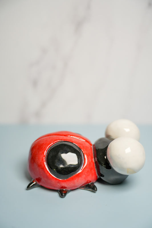 Medium Sized Ladybugs