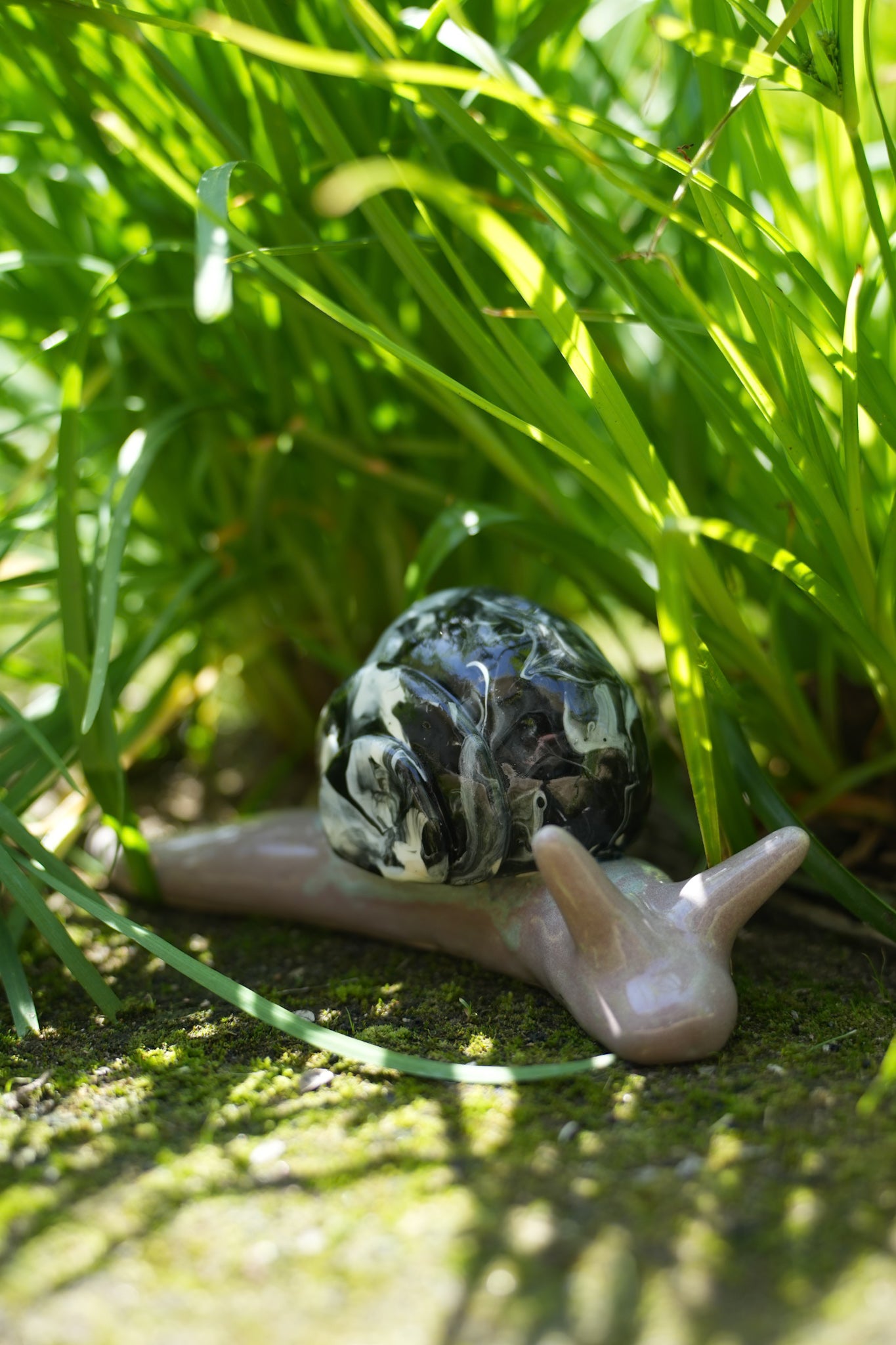 Giant Snail