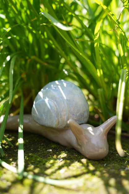 Giant Snail