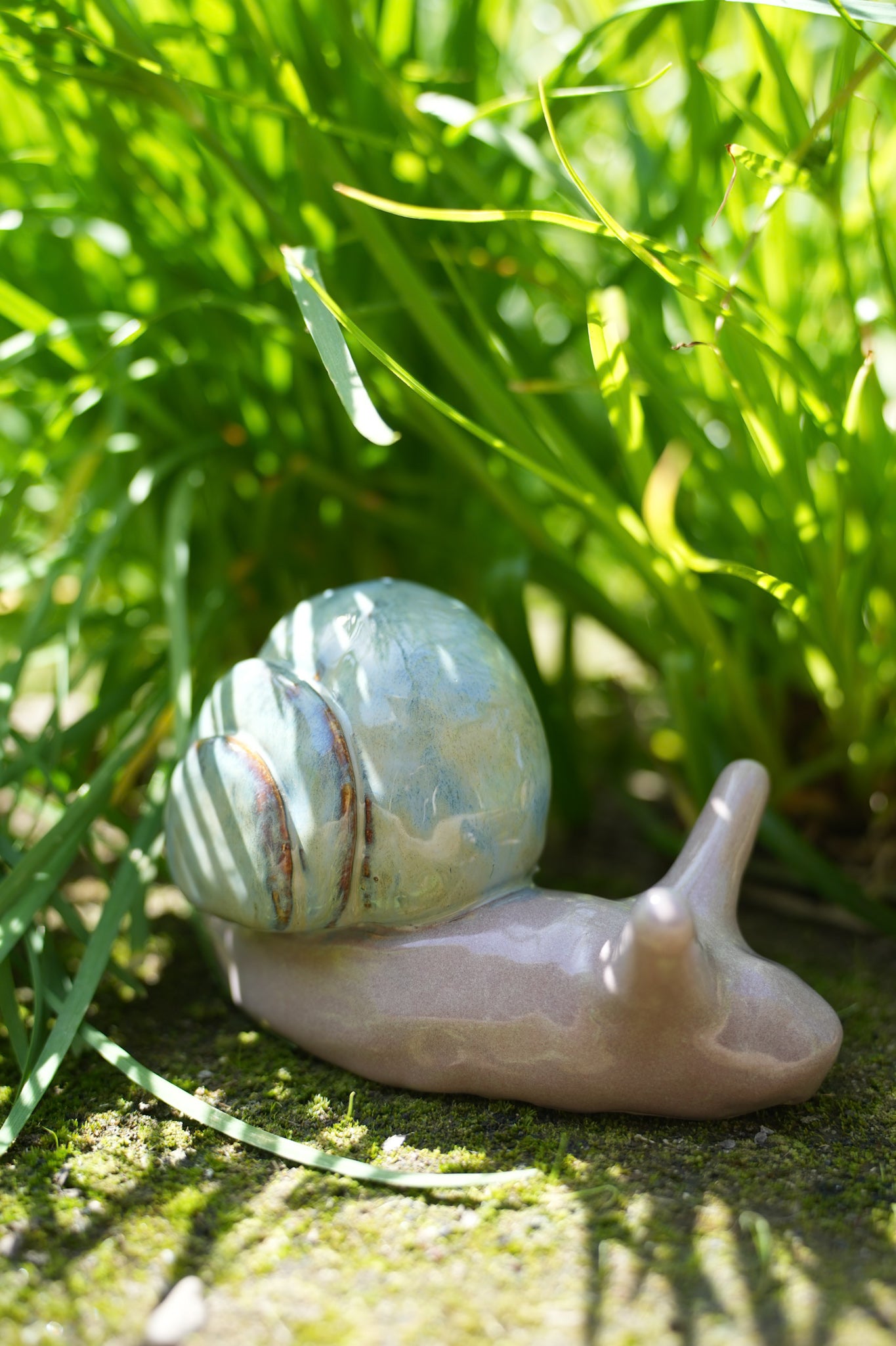 Giant Snail