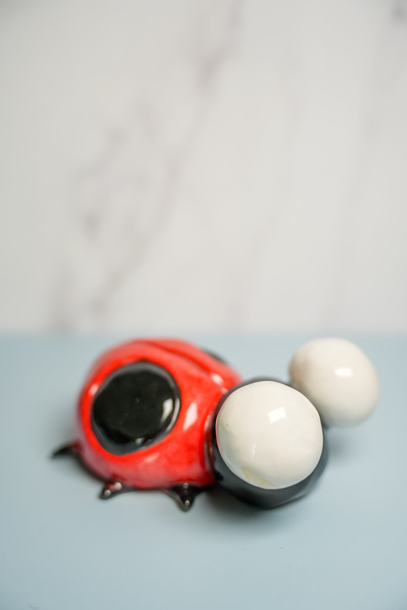Medium Sized Ladybugs