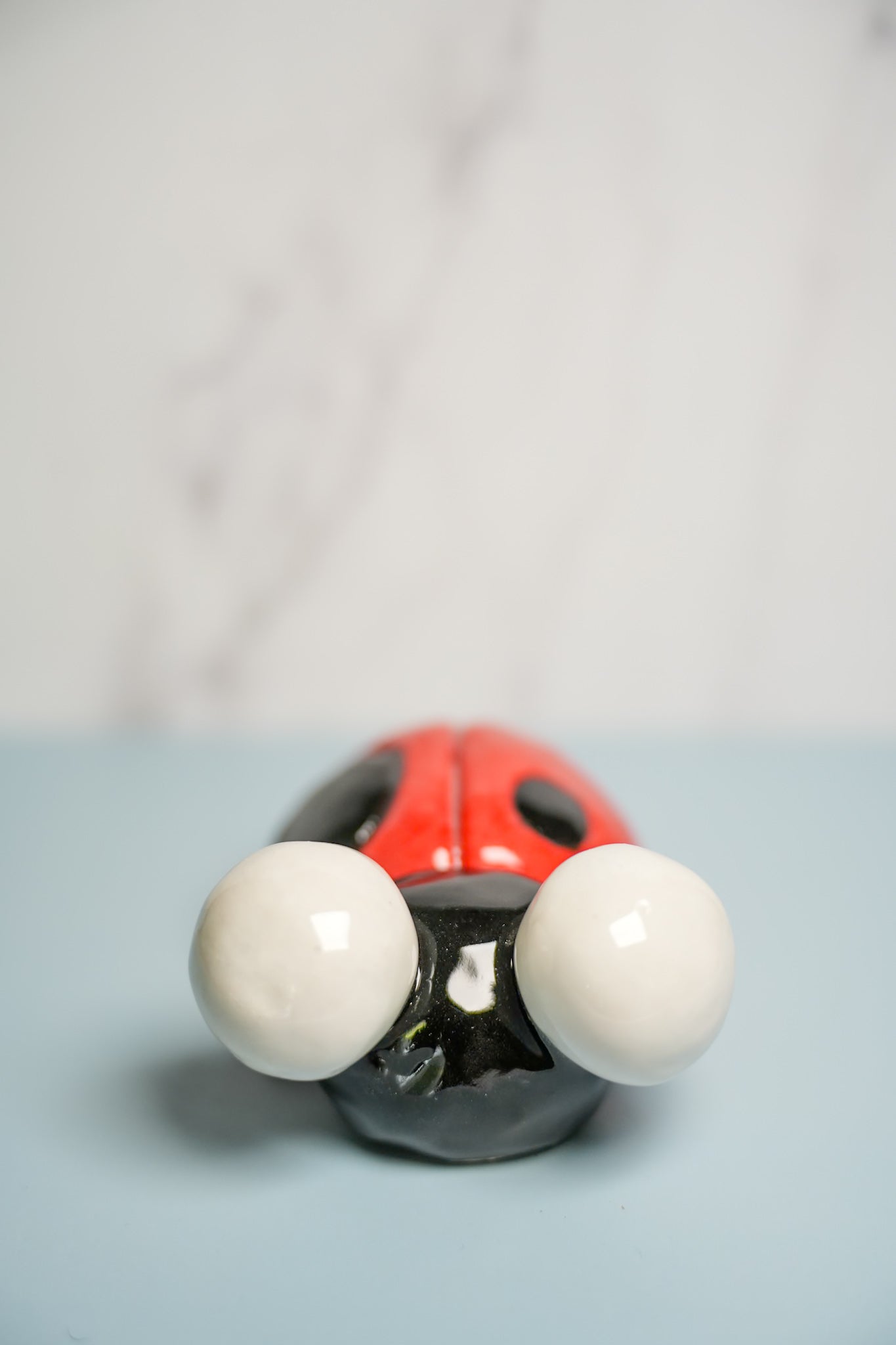 Medium Sized Ladybugs