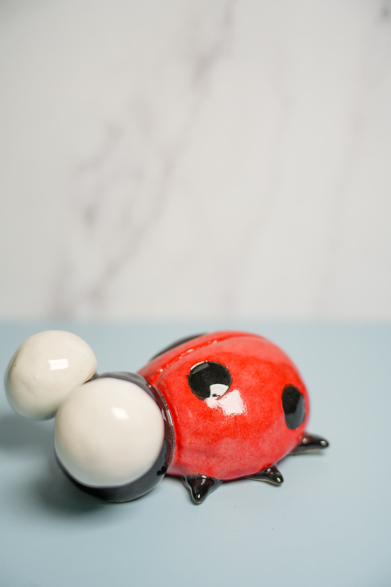 Medium Sized Ladybugs