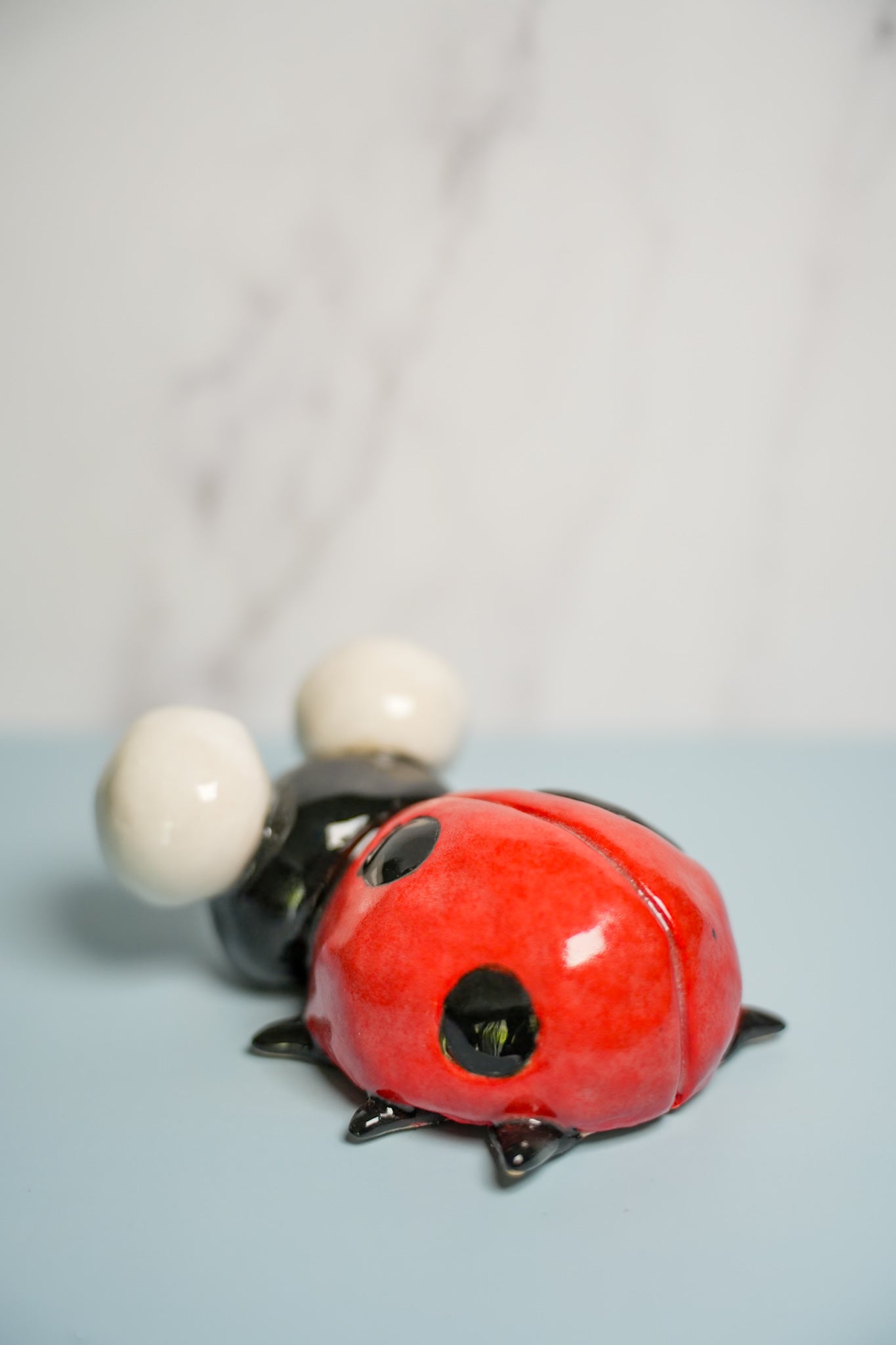 Medium Sized Ladybugs