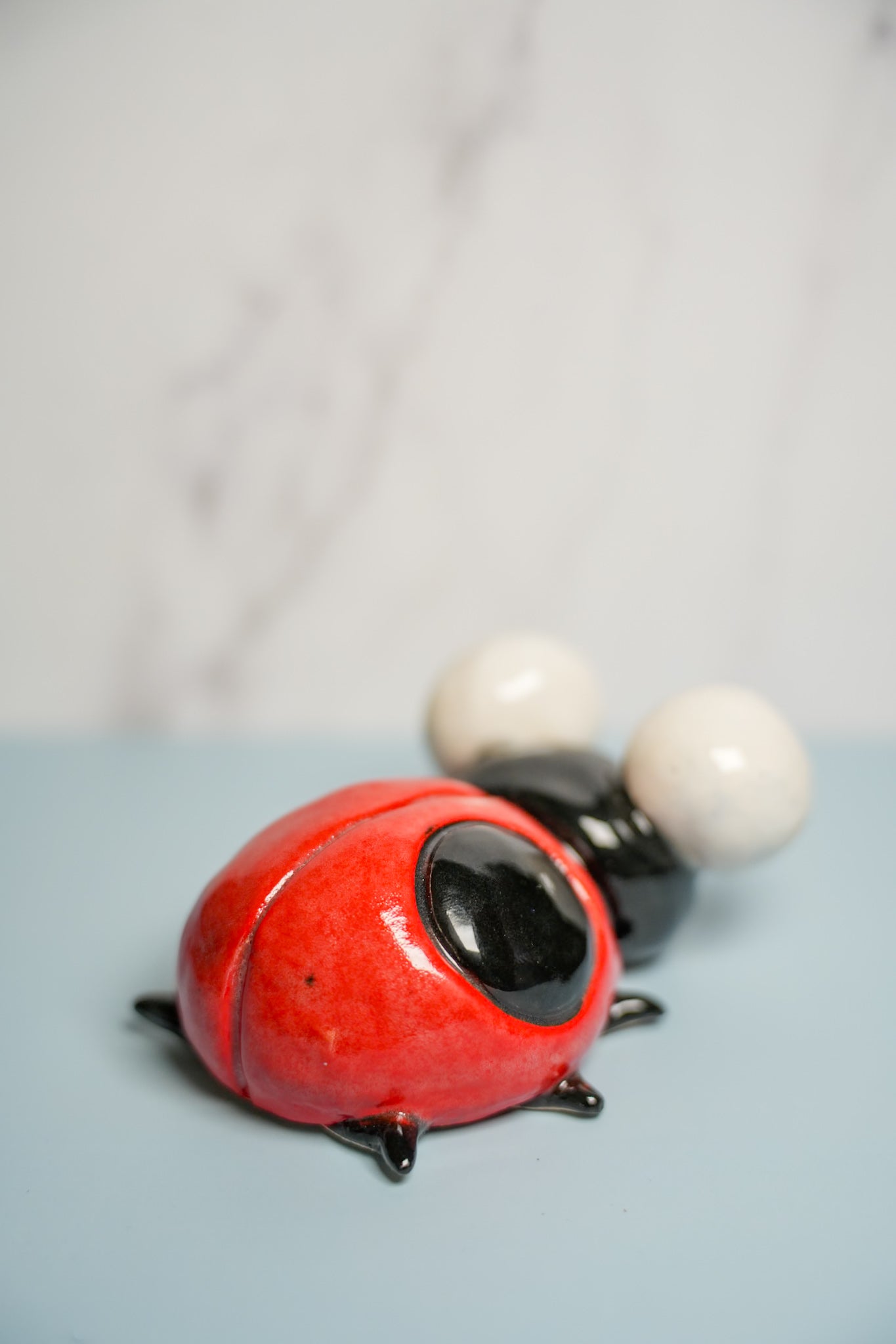 Medium Sized Ladybugs