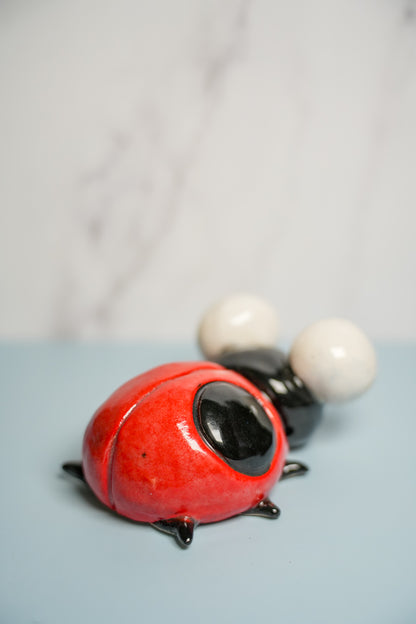 Medium Sized Ladybugs