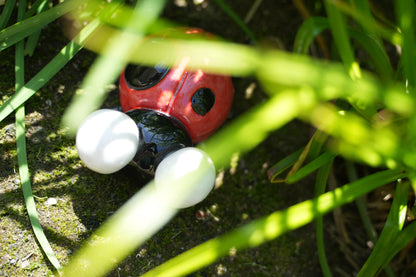 Medium Sized Ladybugs